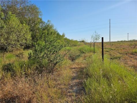 24024 441 Creek Mathis TX 78368