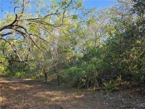 24024 441 Creek Mathis TX 78368