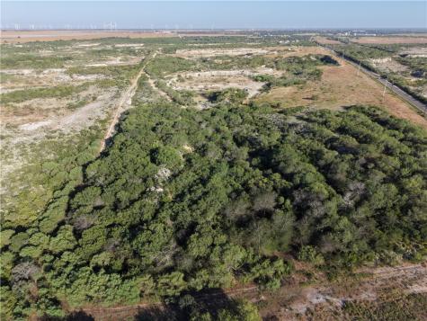 24024 441 Creek Mathis TX 78368