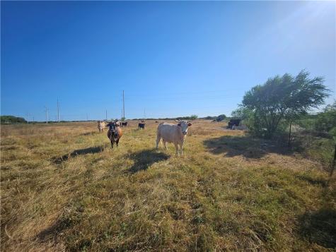24024 441 Creek Mathis TX 78368