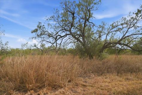 1991 S Highway 37 Three Rivers TX 78071