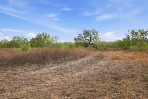 1991 S Highway 37 Three Rivers TX 78071