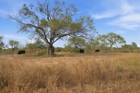 1991 S Highway 37 Three Rivers TX 78071