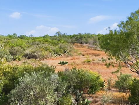 1991 S Highway 37 Three Rivers TX 78071