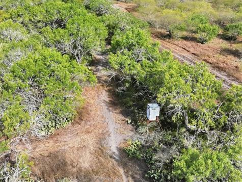 1991 S Highway 37 Three Rivers TX 78071