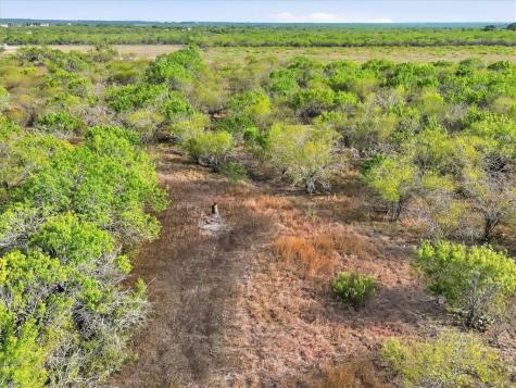 1991 S Highway 37 Three Rivers TX 78071