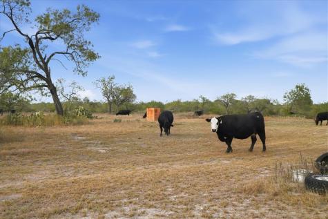 1991 S Highway 37 Three Rivers TX 78071