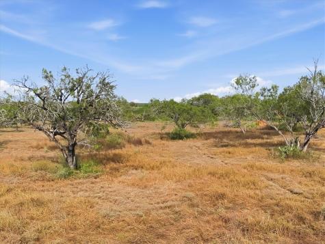 1991 S Highway 37 Three Rivers TX 78071