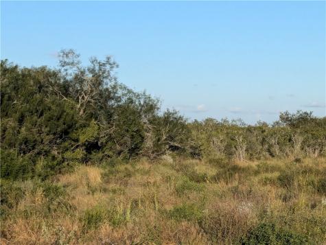 0 0 San Diego TX 78384