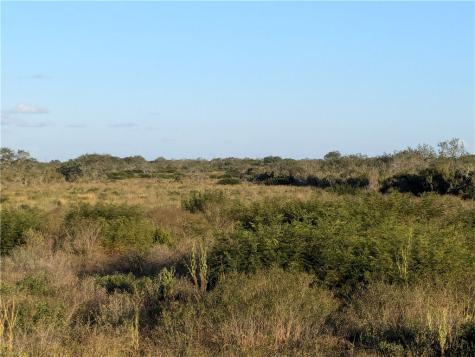 0 0 San Diego TX 78384