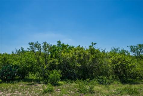 625 W County Road 303 Orange Grove TX 78372