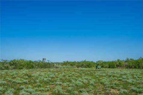625 W County Road 303 Orange Grove TX 78372