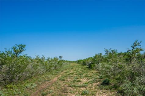 625 W County Road 303 Orange Grove TX 78372