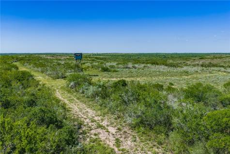625 W County Road 303 Orange Grove TX 78372
