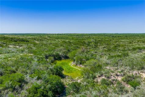 625 W County Road 303 Orange Grove TX 78372