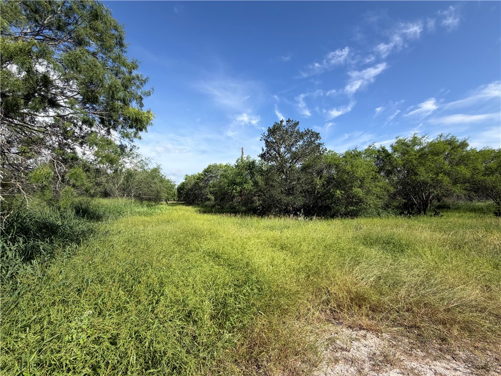 301 Paisano Drive George West TX 78022