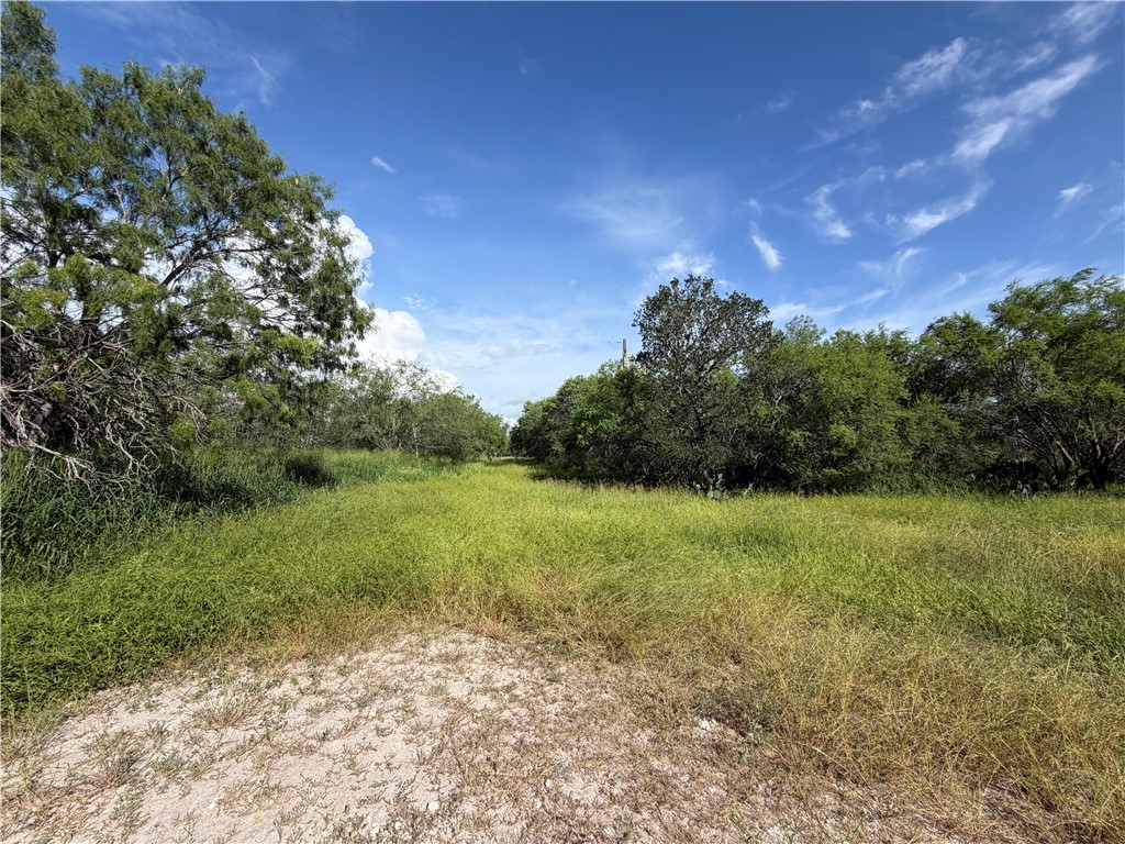 301 Paisano Drive George West TX 78022