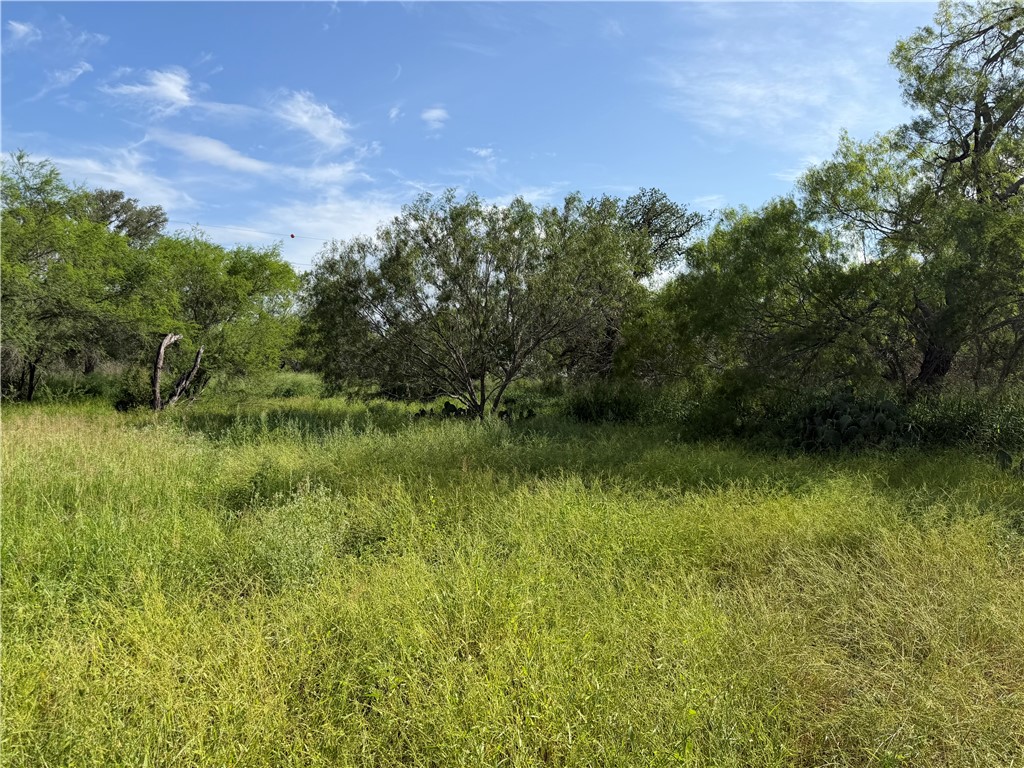 301 Paisano Drive George West TX 78022