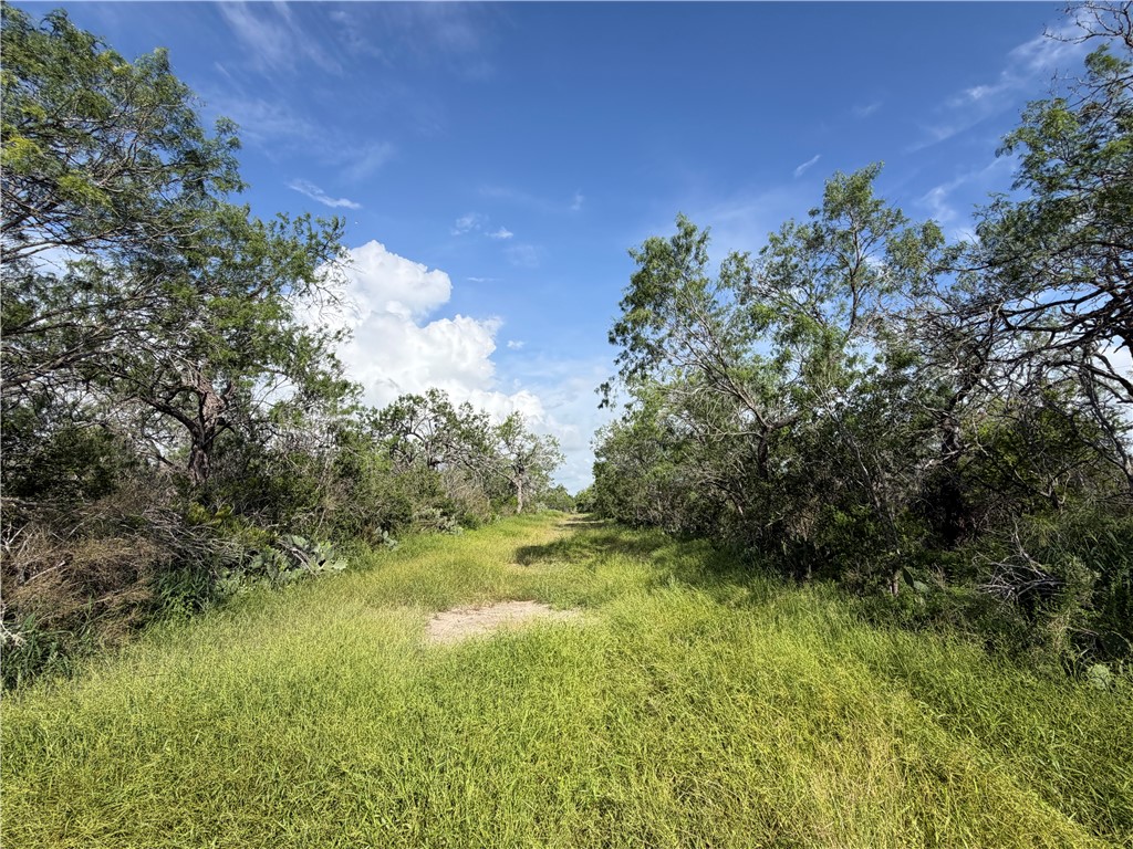 301 Paisano Drive George West TX 78022