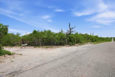 731 County Road 325 George West TX 78022