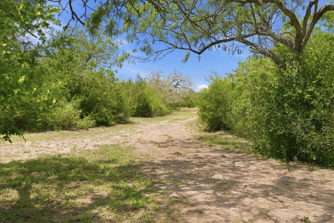 731 County Road 325 George West TX 78022
