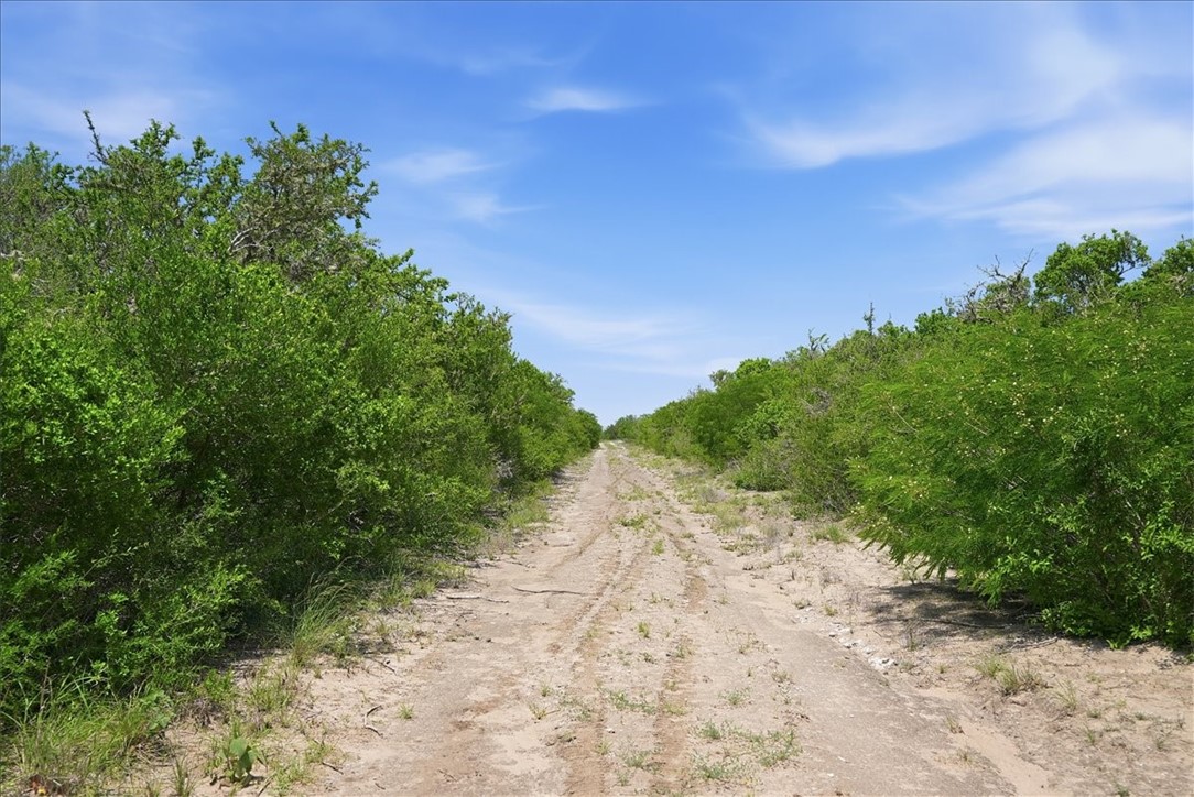 731 County Road 325 George West TX 78022