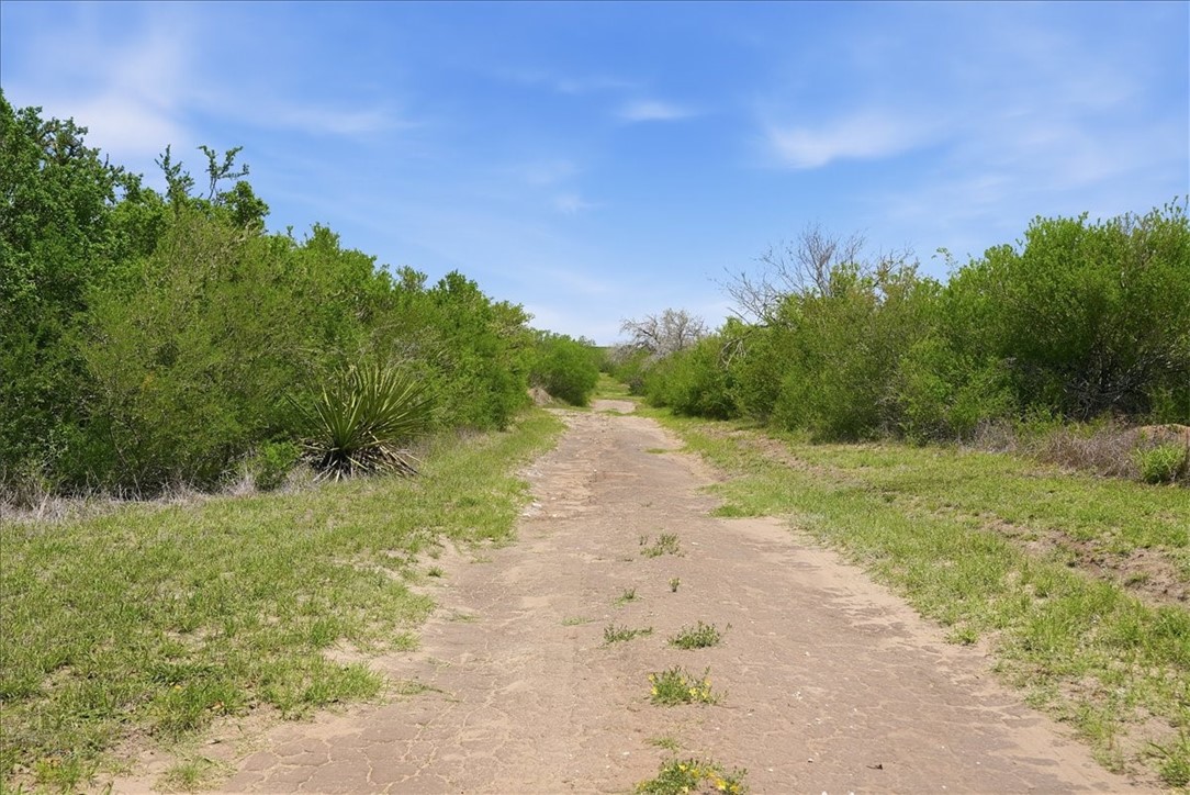 731 County Road 325 George West TX 78022