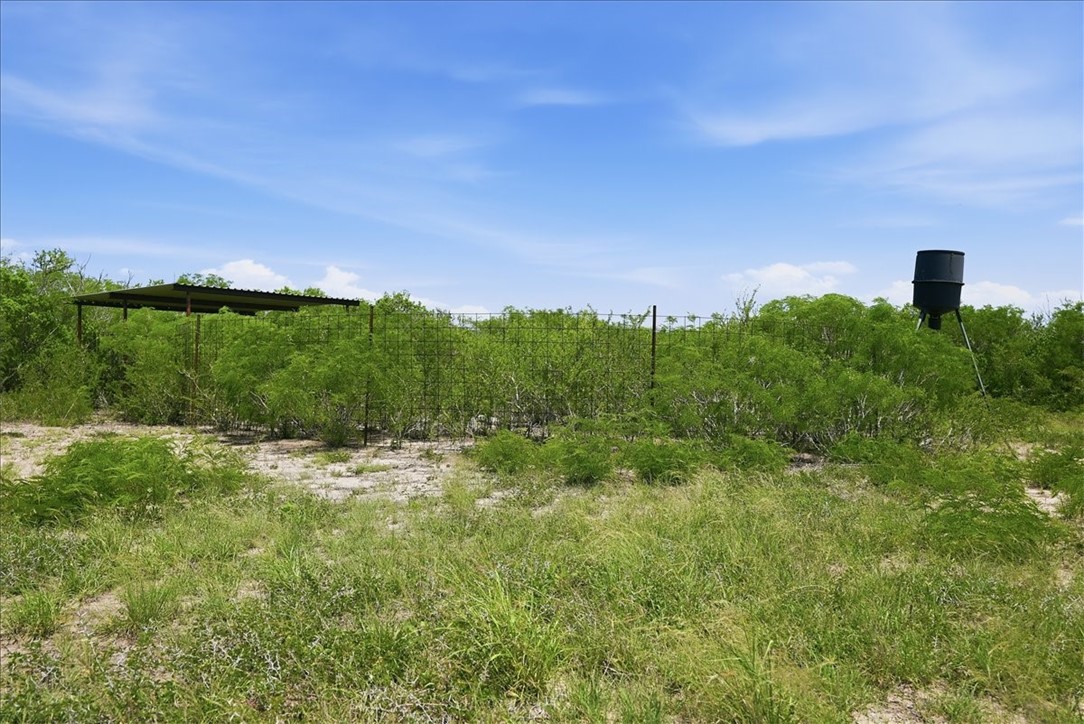 731 County Road 325 George West TX 78022