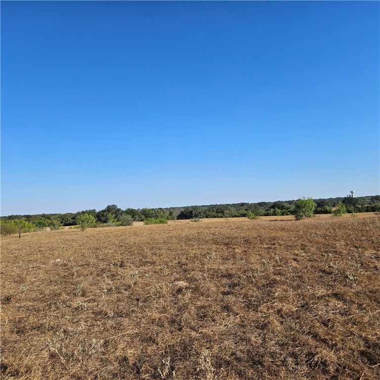 771 County Road 342 Pleasanton TX 78065