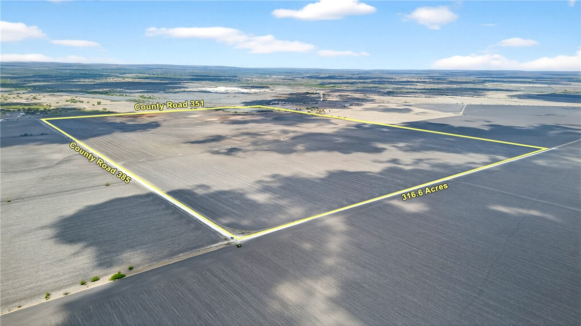 109 County Road 385 George West TX 78022