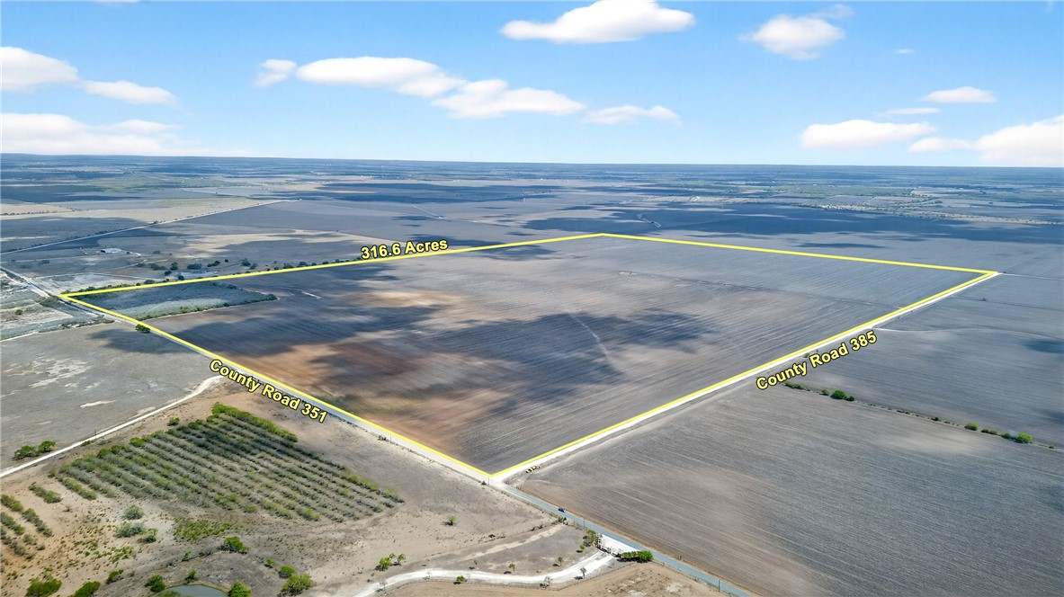 109 County Road 385 George West TX 78022