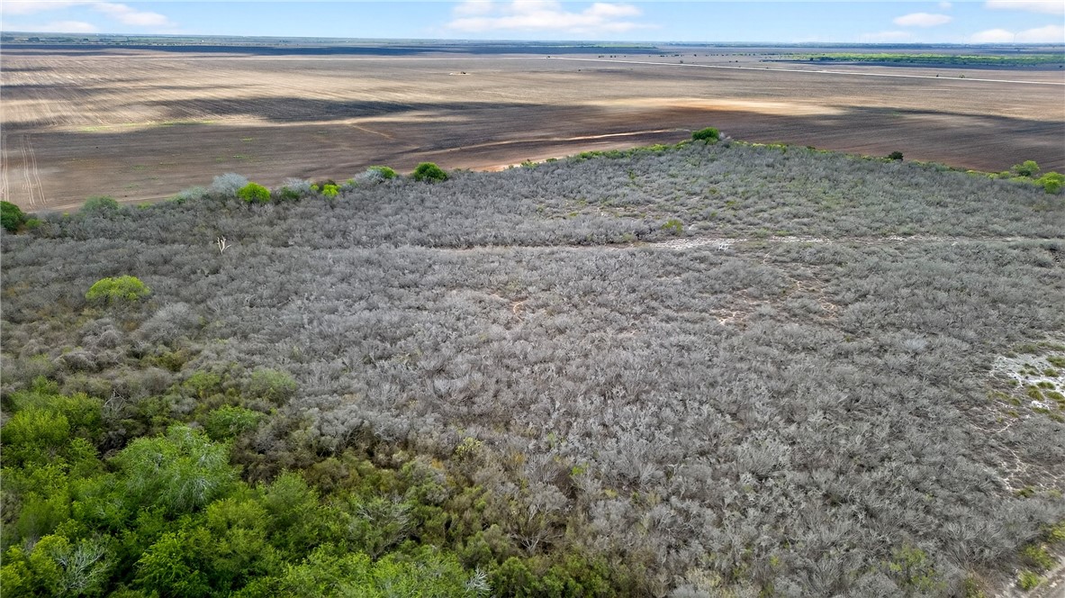 109 County Road 385 George West TX 78022