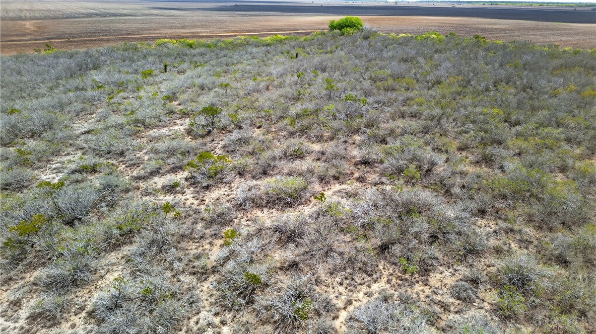 109 County Road 385 George West TX 78022