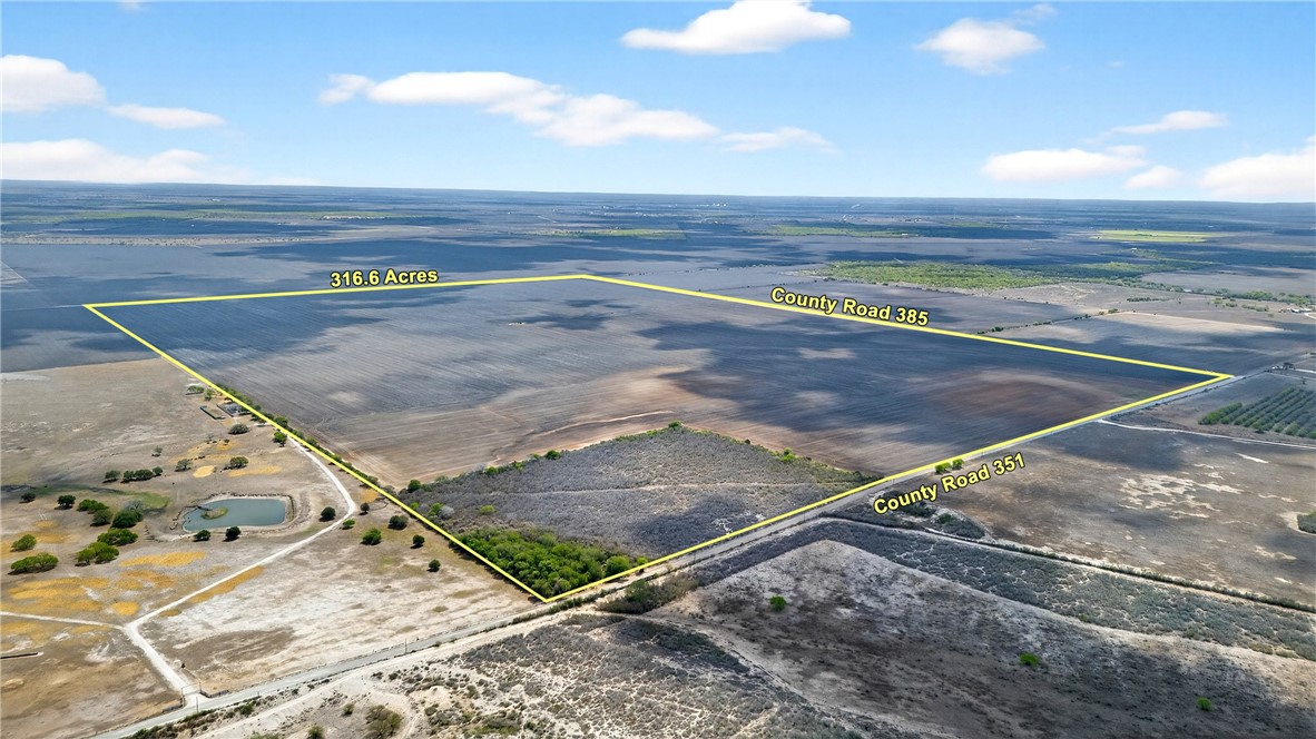 109 County Road 385 George West TX 78022