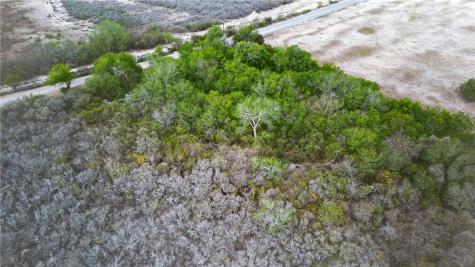 109 County Road 385 George West TX 78022