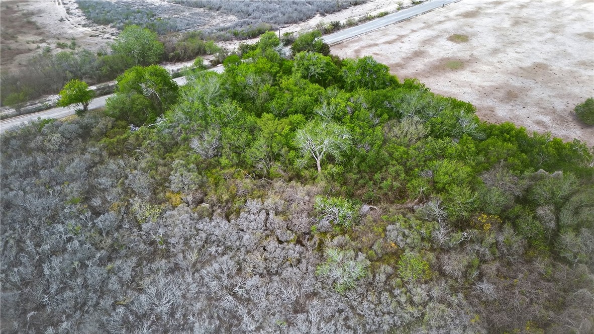 109 County Road 385 George West TX 78022