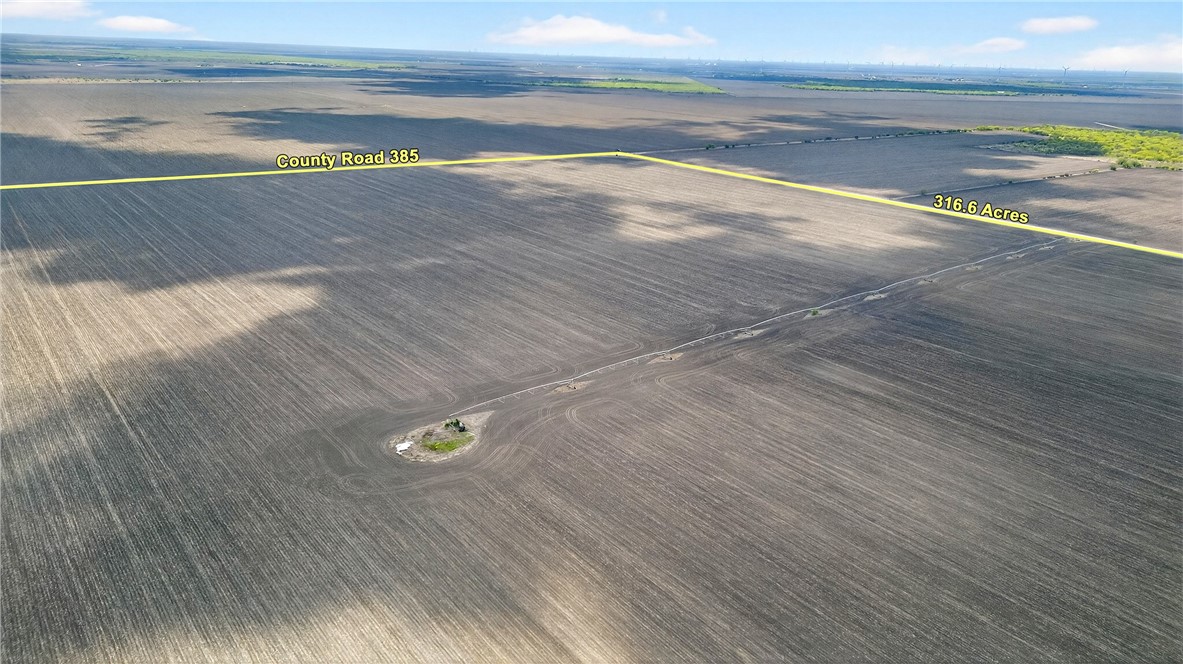 109 County Road 385 George West TX 78022