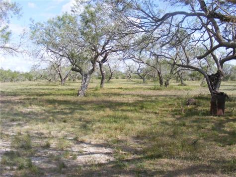 430 Fm 2049 Three Rivers TX 78071