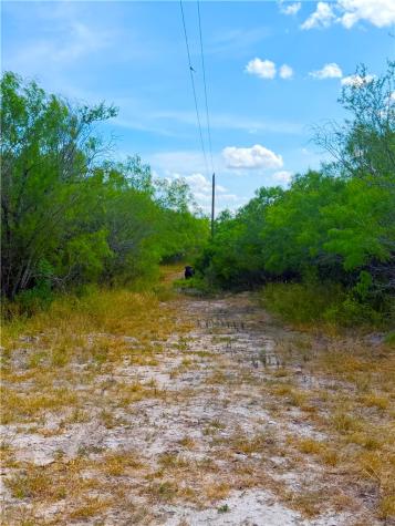 0 Tract 10- San Diego Creek Ranch San Diego TX 78384
