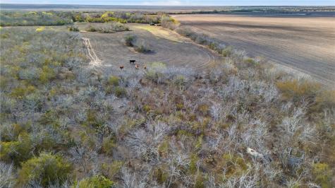 00 Levien Road Woodsboro TX 78393