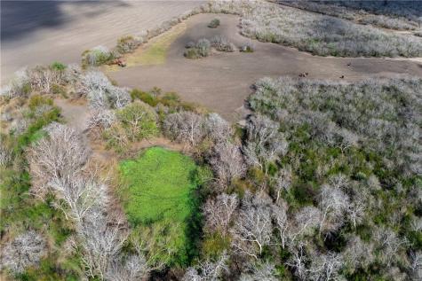 00 Levien Road Woodsboro TX 78393