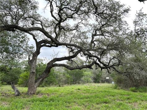 1632 Slickfield Road Yorktown TX 78164