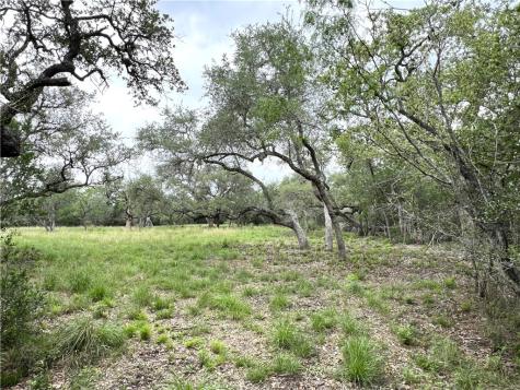 1632 Slickfield Road Yorktown TX 78164