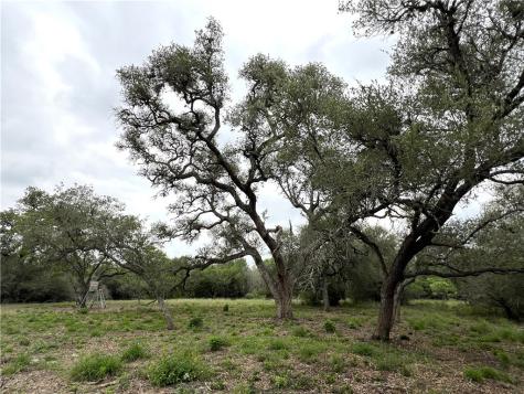 1632 Slickfield Road Yorktown TX 78164