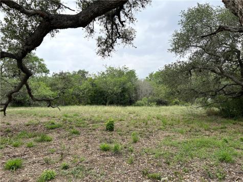 1632 Slickfield Road Yorktown TX 78164
