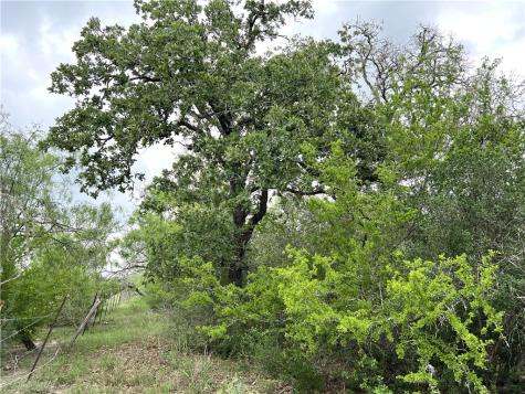 1632 Slickfield Road Yorktown TX 78164