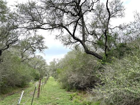 1632 Slickfield Road Yorktown TX 78164