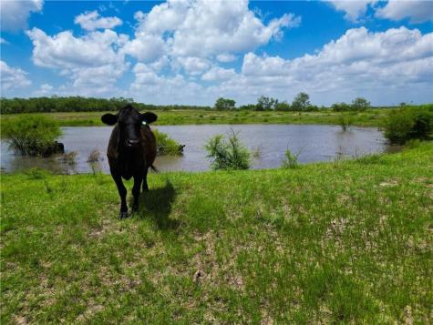 0 Fm 673 Pawnee TX 78145