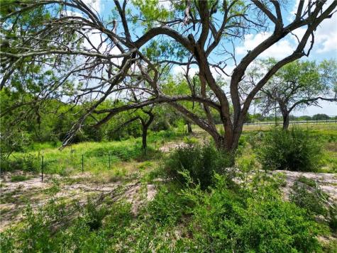0 Fm 673 Pawnee TX 78145