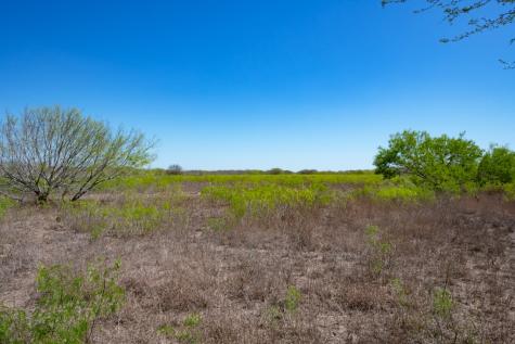 1202 Highway 44 Highway W San Diego TX 78384
